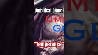 Umbilical Gland- “Temperance”