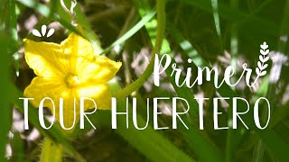 VIVIMOS EN UNA CASA HUERTA: ¡1° tour huertero del año! 🌿🧡🏡 | Y un nuevo proyecto ♥