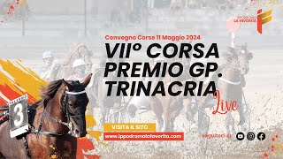 Live VII° Corsa del 11 Maggio 2024 - 4 Anni - Metri 1600