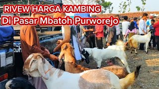 INDUKAN BREEDING‼️RIVEW HARGA KAMBING JAWA RANDU DI PASAR MBATOH PURWOREJO#goat#kambing