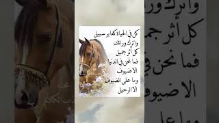 روائع الحكم