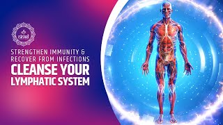 Cleanse Your Lymphatic System | Strengthen Immunity & Recover from Infections | 741Hz