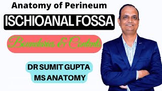 ISCHIOANAL FOSSA : Anatomy