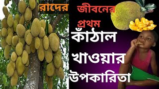 বাচ্চাদের কাঁঠাল খাওয়ার উপকারিতা || কাঁঠাল খেলে কোন রোগ দূর হবে|| রাদের জীবনে প্রথম কাঁঠাল খাওয়া🤔