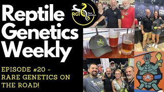 Rare Genetics on the Road! - Reptile Genetics Weekly Ep 20