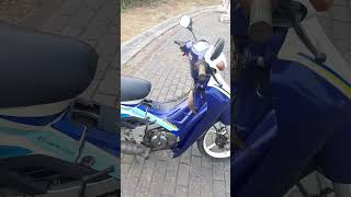 #shorts Suzuki 2 tak satria lumba 6 speed 2001 biru putih original