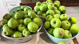 Fast apple peel, core and slice in bulk