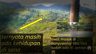 MENEMBUS BELANTARA GUNUNG GUMITIR ‼️ siapa sangka banyak kehidupan di dalam sana😱😱😱