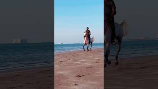 Dubai beach horse riding #horseriding #horserid #horseride #beach #equestrian