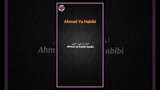 Ahamad Ya Habibi • Sholawat menenangkan #sholawat #sholawatmerdu #sholawatnabi #storywa