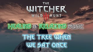 Healing Music Witcher 3 OST 🎵 The Tree When We Sat Once (Skellige BGM) / 힐링음악 위쳐 3 OST - 스켈리게 BGM