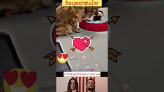 Emotiva Lección de Generosidad: Perrita Comparte su Comida con su Cachorro #shorts #status #short