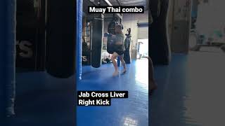 Muay Thai Combo