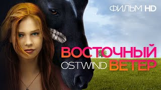 Восточный ветер /Ostwind/ Фильм HD