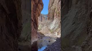 Mineral Creek and the abandoned Cooney Mine: New Mexico slot canyon and abandoned gold mine #shorts