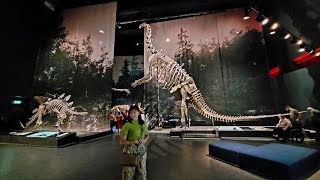 Naturalis Museum - Leiden