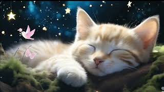 오르골자장가_귀여운 아기 고양이와 떠나는 꿈나라 여행 Brahms Lullaby_A trip to dreamland with a cute baby cat (no ads)