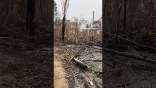 Amazonian Deforestation in Brazil