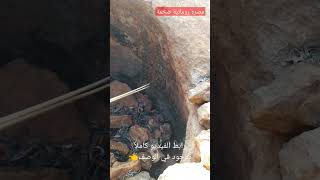 معصرة رومانية أثرية ضخمة وإشارة جرن قربها