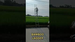 MAKE YOUR OWN BAMBOO LADDER IN THE PHILIPPINES