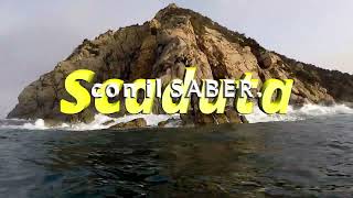 Pesca sub   :   🔱 Scaduta con il Saber. ( Spearfishing)