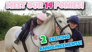 MEET OUR 14 PONIES - Plus BIG News!