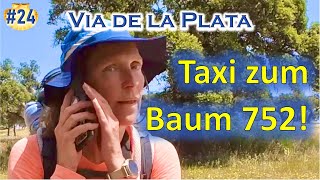 #24 MOBILFUNK in Spanien 📲 || Via de la Plata 2022 - Etappe 01 | JAKOBSWEG alleine pilgern