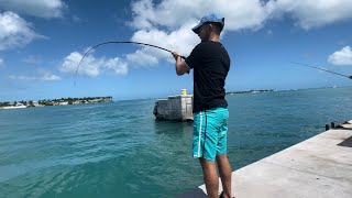 Fishing at MALLORY SQUARE, Key west.