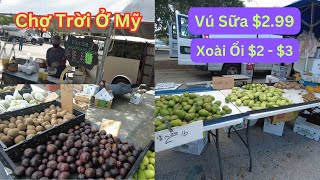 CHỢ TRỜI Ở MỸ BÁN ĐẦY TRÁI CÂY VIỆT NAM TƯƠI NGON GIÁ RẼ | PINELLAS FLEA MARKET CLEARWATER FLORIDA