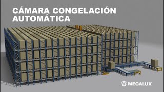 Cámara de congelación automática para productos cárnicos