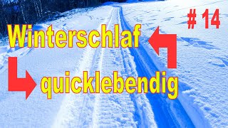 Moskosel zwischen Winterschlaf und Betriebsamkeit