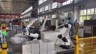 two robots for loading and unloading and palletizing with visual searching position equipment