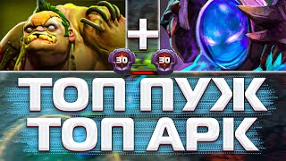 30 ЛВЛ ПУДЖ + 30 ЛВЛ АРК ВАРДЕН ДОТА 2 | LVL 30 PUDGE + LVL 30 ARC WARDEN DOTA 2