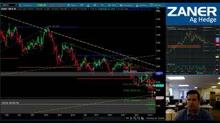 SOTD - Ag Market WASDE Update 10/12/2021