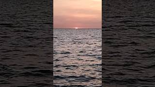 Sunset view On Sea Beach #sunsetview #sunset #beautiful #views #viral #video #videography #shooting