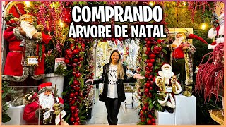 COMPRANDO A ÁRVORE DE NATAL E ORDENAMENTOS