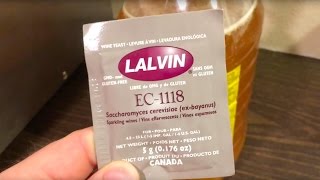 Making Hard Cider From Store Bought Apple Juice and Lalvin EC-1118  - Part 1 - Homestead Brewing