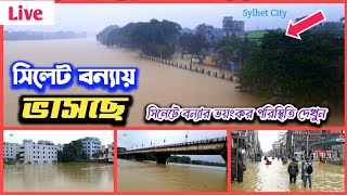 সিলেটে বন্যা পরিস্থিতি ২০২৪ - সুনামগঞ্জ সিলেট বন্যায় ডুবছে | sylhet bonna news | sylhet flood 2024