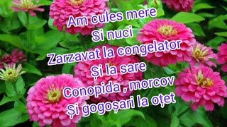 Culeg mere și nuci/ am pus zarzavat la congelator și cu sare/ conopidă,ardei și morcov la oțet❤️