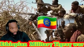 Ethiopian federal government  Military during Tigray war Reaction