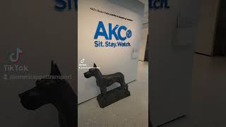 #nyc #newyork #akc #americankennelclub #museamofthedog #dog #museam ##pettaxi #pettransport