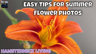 Easy tips to improve vibrant and beautiful summer flower photographs