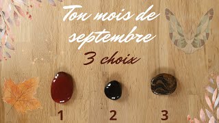 Conseils et messages pour votre mois de septembre. 🧚‍♀️ 3 choix. 🧚‍♀️🐞