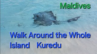 🏝 Walking around #kuredu #maldives 🌴