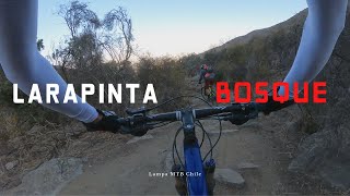 Larapinta - Bosque