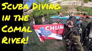 Scuba Diving in the Comal River, New Braunfels! March 2023