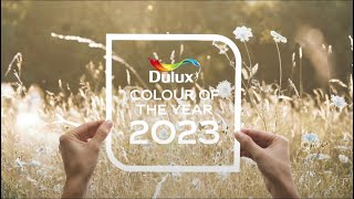 Dulux 2023年度色彩 - 野麥黃 | Dulux Colour of the Year 2023 - Wild Wonder™