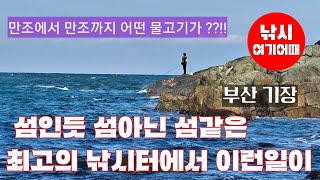 섬인듯 섬아닌 섬같은 도심근교 갯바위에서 12시간의 낚시조황/부산 기장 도보권 방파제 갯바위 생활낚시/바다낚시 파도소리ASMR/취미낚시/힐링영상/낚시장소소개/시니어유튜버