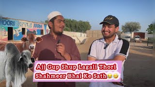 Al Noori Cattle Farm Per Visit ❤️ Shahmeer k Sath Gupshap | SAK Mandi Update | All About Animals PK