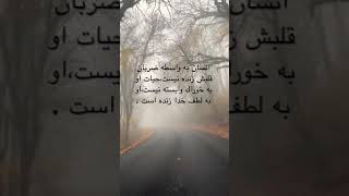 ❤️به لطف خدا زنده ام❤️